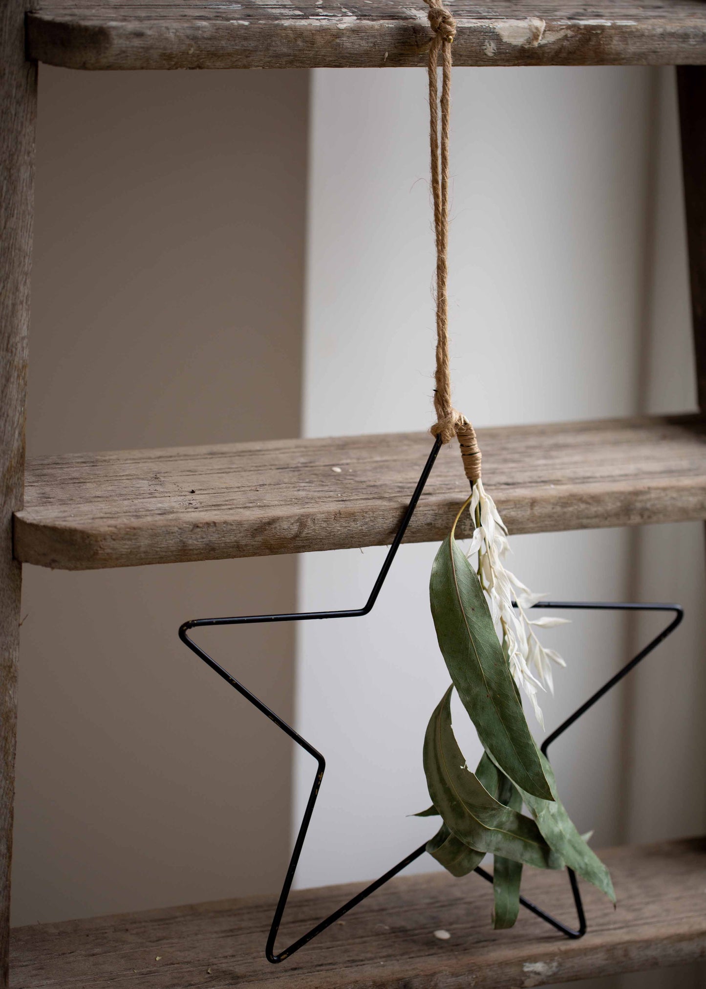 Small Black Metal Star with Dried Foliage