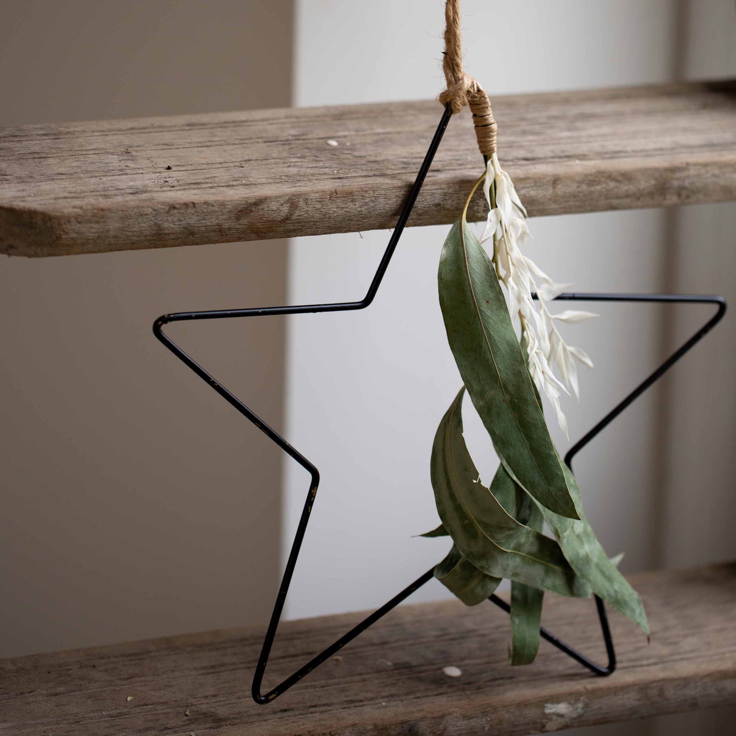 Metal Star with Dried Foliage