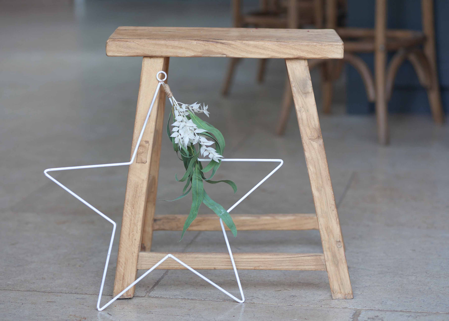 Metal Star with Dried Foliage